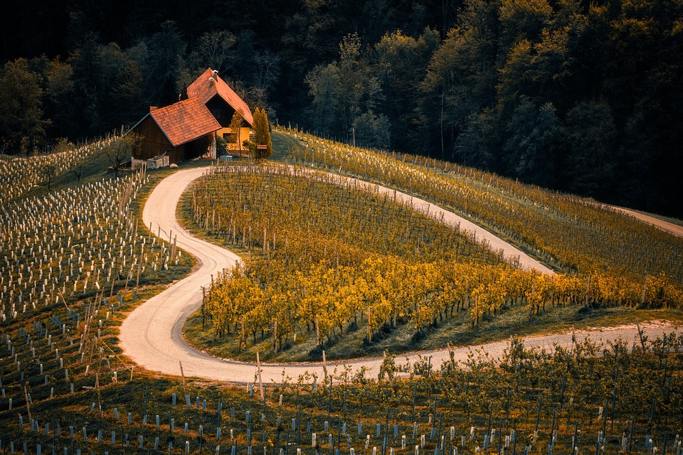 From Lake Bled to Mysterious Caves: Exploring Slovenia’s Most Unique Attractions