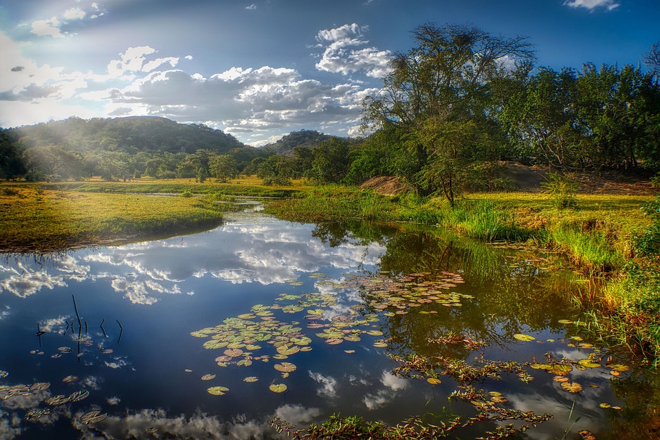 From Wildlife to Waterfalls: The Ultimate Guide to Traveling Zimbabwe