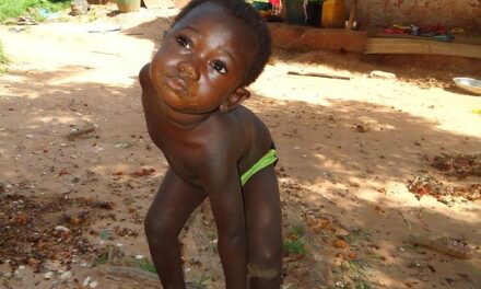 Journey Through Guinea-Bissau: Beaches, Wildlife, and Cultural Festivals