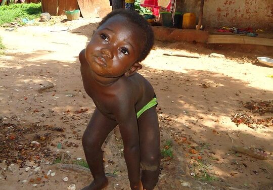 Journey Through Guinea-Bissau: Beaches, Wildlife, and Cultural Festivals