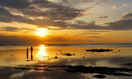 Mauritius Travel Guide: Unmissable Destinations and Expert Planning Tips