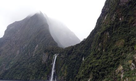 New Zealand Adventure: Insider Tips to Make the Most of Your Journey