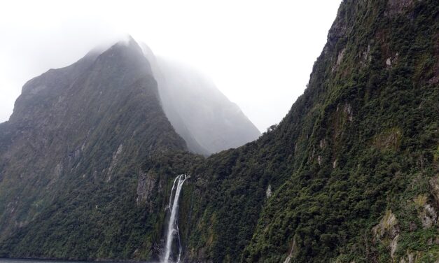 New Zealand Adventure: Insider Tips to Make the Most of Your Journey