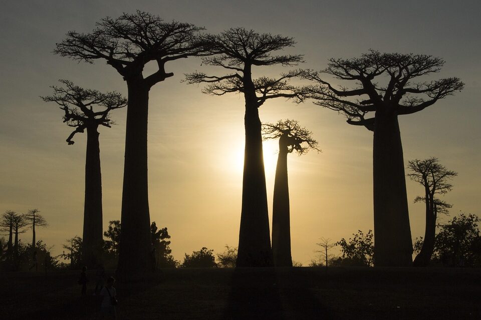 Off the Beaten Path in Madagascar: A Guide to its Lesser-Known Wonders