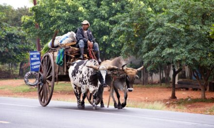Paraguay Off the Tourist Trail: Hidden Attractions You Need to See