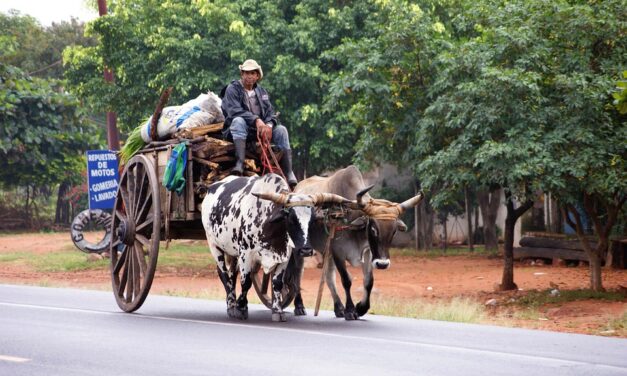Paraguay Off the Tourist Trail: Hidden Attractions You Need to See