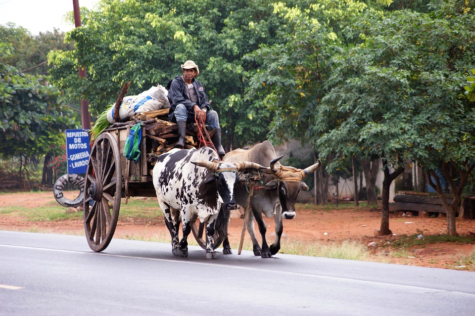Paraguay Off the Tourist Trail: Hidden Attractions You Need to See