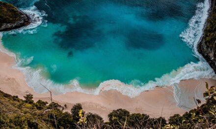 Solomon Islands Adventures: Exploring Pristine Beaches, Lush Rainforests, and Rich Culture