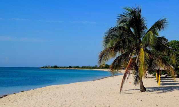 Top Beaches in Trinidad and Tobago That Rival the World’s Best