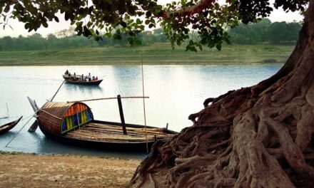 Why Bangladesh Should Be on Your Travel List: Scenic Sites and Expert Tips