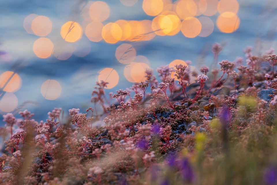 Why Estonia Should Be Your Next Travel Destination