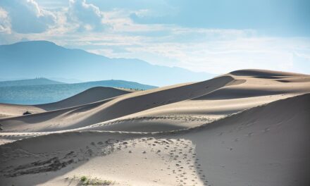 Your Ultimate Mongolia Travel Guide: From Nomadic Traditions to Stunning Scenery