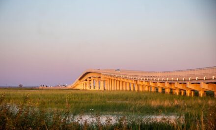 Zambia Unveiled: Stunning Places You’ll Wish You Discovered Sooner
