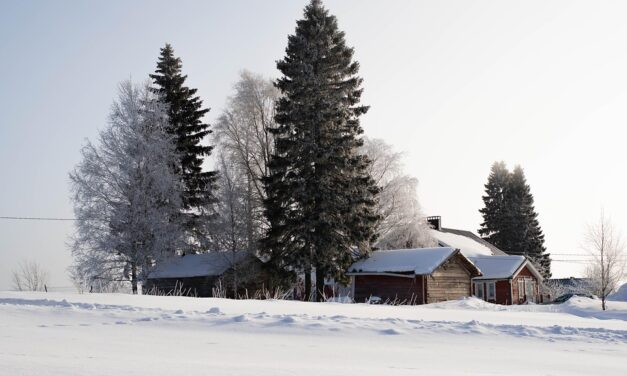 A Complete Guide to Finland’s Unique Natural Wonders and Cultural Highlights