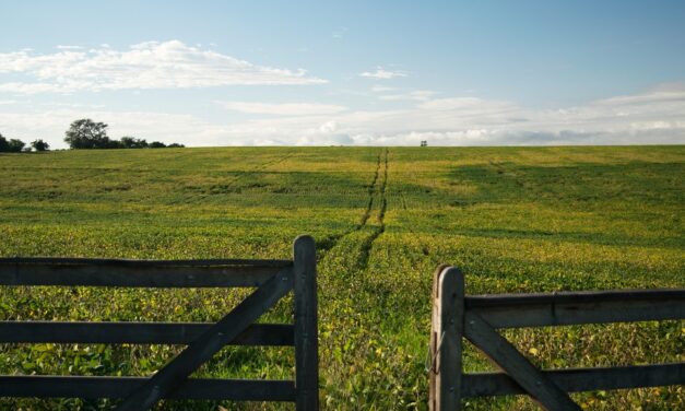 Discover the Best of Uruguay: A Perfect Blend of Culture, Nature, and Adventure