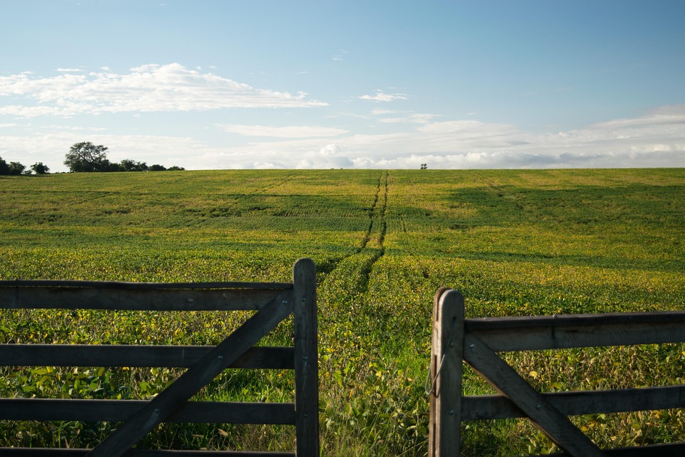 Discover the Best of Uruguay: A Perfect Blend of Culture, Nature, and Adventure