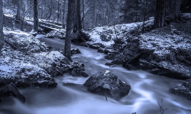 Experience the Real Sweden: Local Experiences Every Adventurer Should Try