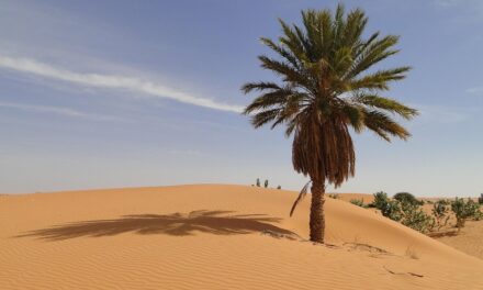 Exploring Mauritania: Fascinating Facts and Captivating Destinations for Adventurers