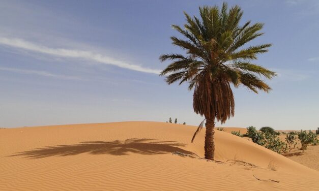 Exploring Mauritania: Fascinating Facts and Captivating Destinations for Adventurers