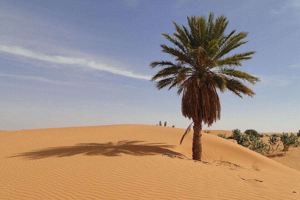 Exploring Mauritania: Fascinating Facts and Captivating Destinations for Adventurers