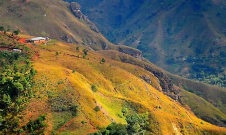 From Pristine Beaches to Vibrant Culture: What Makes Haiti a Must-Visit Destination