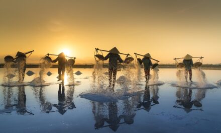 From Rice Terraces to Bustling Markets: An Insider’s Guide to Vietnam’s Treasures