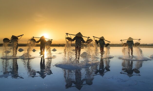 From Rice Terraces to Bustling Markets: An Insider’s Guide to Vietnam’s Treasures