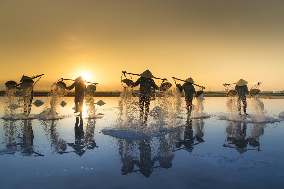From Rice Terraces to Bustling Markets: An Insider’s Guide to Vietnam’s Treasures