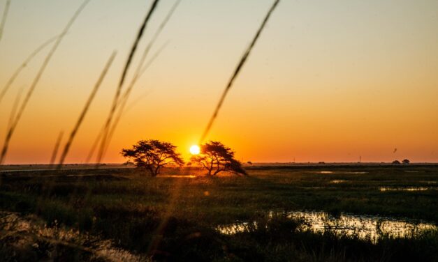 From Waterfalls to Wildlife: The Most Intriguing Things to Do in Zambia