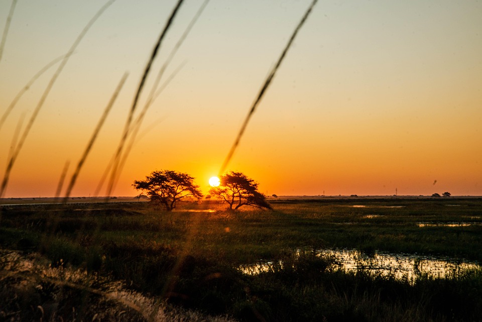 From Waterfalls to Wildlife: The Most Intriguing Things to Do in Zambia