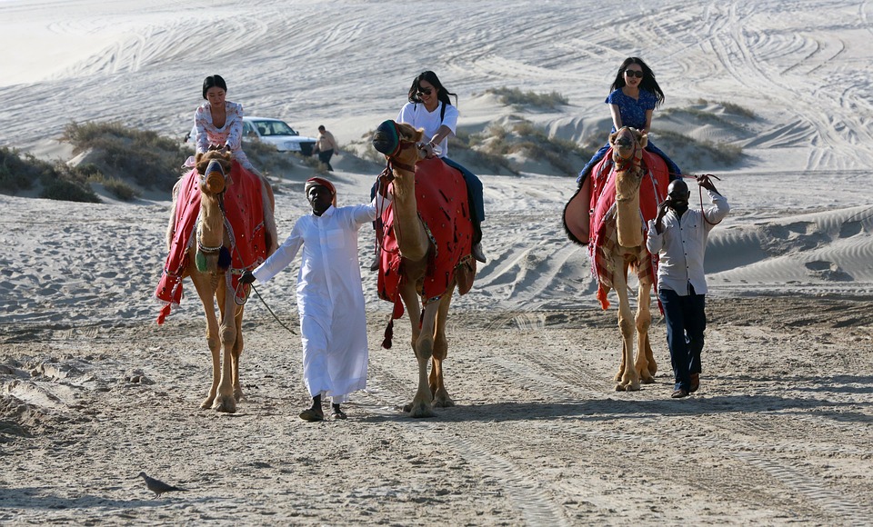 Hidden Wonders of Qatar: Amazing Places to See and How to Get There