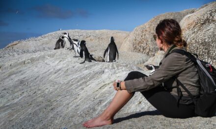 How to Explore South Africa’s Scenic Routes Like a Pro
