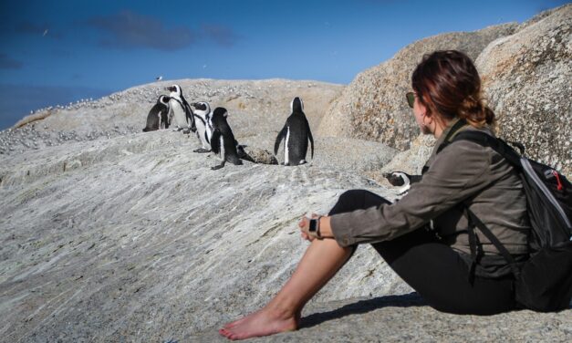 How to Explore South Africa’s Scenic Routes Like a Pro