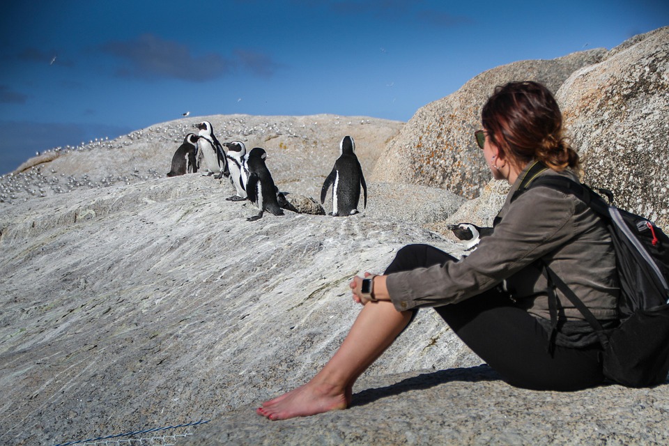 How to Explore South Africa’s Scenic Routes Like a Pro