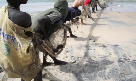 How to Plan the Perfect Trip to Senegal: Hidden Gems and Insider Advice