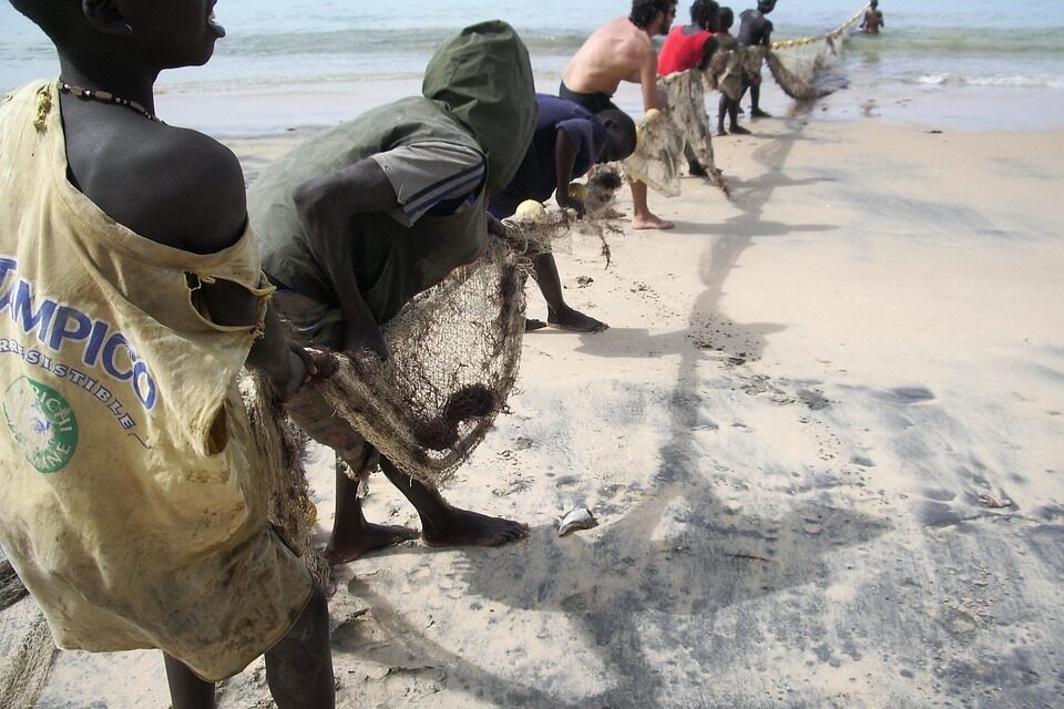 How to Plan the Perfect Trip to Senegal: Hidden Gems and Insider Advice