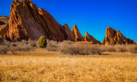Iconic Landmarks and Beyond: Explore the Fascinating Side of the US