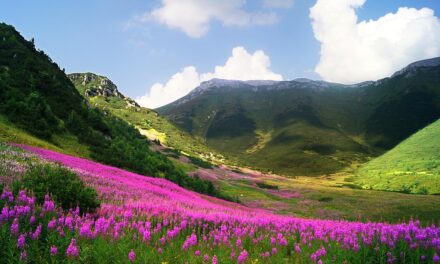 Slovakia Awaits: Your Guide to the Country’s Most Captivating Towns and Treasures