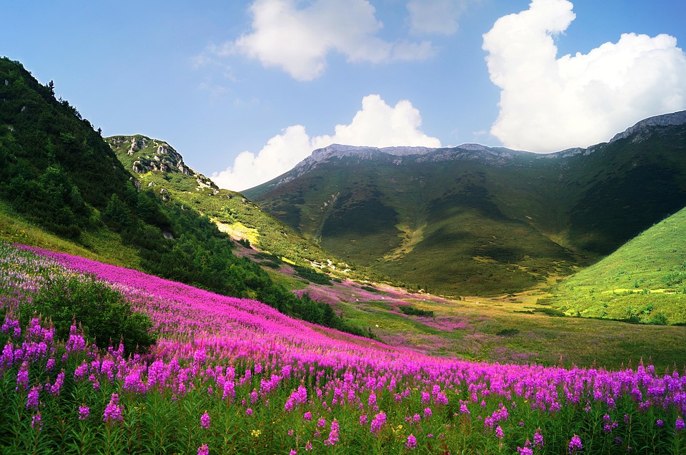 Slovakia Awaits: Your Guide to the Country’s Most Captivating Towns and Treasures