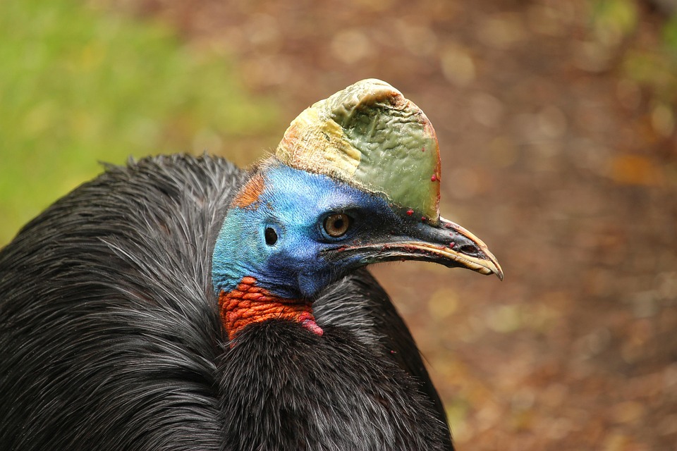The Ultimate Guide to Papua New Guinea’s Remote Islands, Rainforests, and Rich Culture