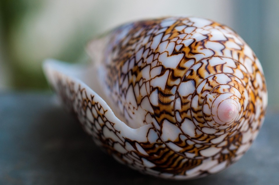 Top Reasons to Visit Seychelles: Nature, Adventure, and Ultimate Relaxation