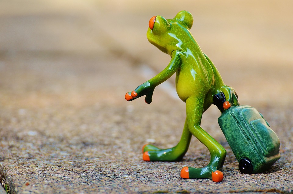 Top Travel Influencers Who Changed the Game: Inspiring Biographies of Modern-Day Adventurers