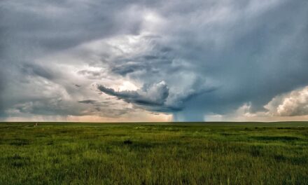 Traveling Through Mongolia: The Most Underrated Destinations for Adventure Seekers