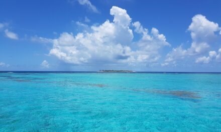 Trinidad and Tobago Travel Tips: How to Experience the Islands Like a Local