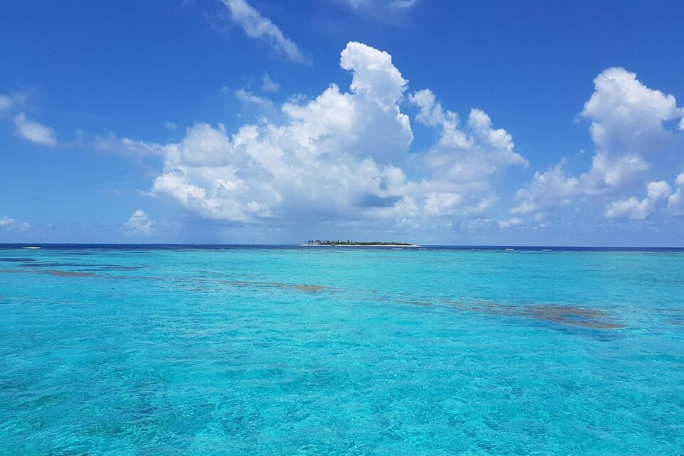 Trinidad and Tobago Travel Tips: How to Experience the Islands Like a Local