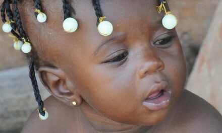 Untouched Beauty: The Ultimate Travel Guide to Guinea-Bissau