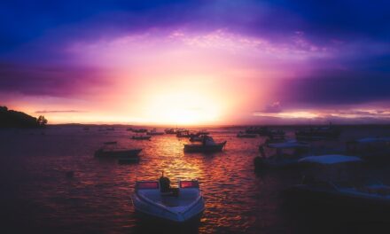 Where Nature and History Meet: Ultimate Travel Guide to Sao Tome and Principe