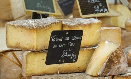 Why France is Every Traveler’s Dream: Unique Attractions You’ll Love