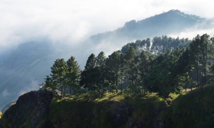 A Nature Lover’s Guide to El Salvador: Volcanoes, Rainforests, and Wildlife