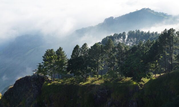 A Nature Lover’s Guide to El Salvador: Volcanoes, Rainforests, and Wildlife